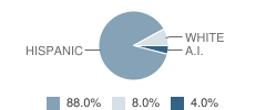 Visionquest Lodgemakers School Student Race Distribution