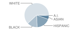 Hi-Star Center for Children School Student Race Distribution