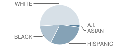 Calvary Chapel Christian School Student Race Distribution