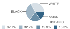 Calvary Christian Academy Student Race Distribution