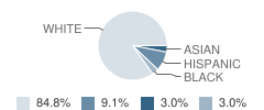 Canyon View Academy Student Race Distribution