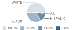 Childhelp School Student Race Distribution