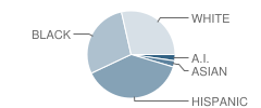 College Center Montessori School Student Race Distribution