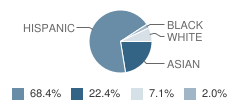 De Marillac Middle School Student Race Distribution