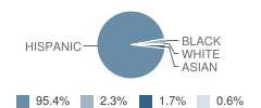 Epiphany Elementary School Student Race Distribution