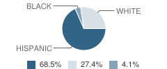 Faith Academy Student Race Distribution