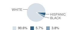 Grace Preparatory School Student Race Distribution