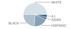 High Desert Haven School Student Race Distribution