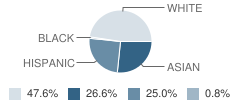 Holy Family School Student Race Distribution