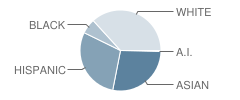 Holy Spirit School Student Race Distribution