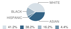 Hope Technology School Student Race Distribution