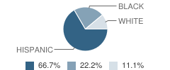 Kiddie Academy Student Race Distribution