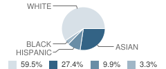 Learning Castle, the School Student Race Distribution