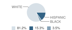 Lighthouse Christian Academy Student Race Distribution