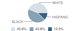 Montessori School House Student Race Distribution