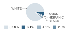 Nawa Academy Student Race Distribution