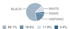 Northern Light School Student Race Distribution