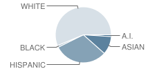 Notre Dame High School Student Race Distribution