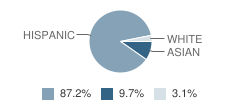Our Lady of Holy Rosary School Student Race Distribution