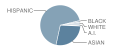 Our Lady of Loretto Elementary School Student Race Distribution