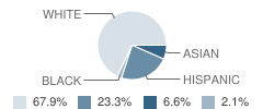 Our Lady of Mt Carmel School Student Race Distribution