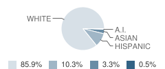 Our Lady of Perpetual Help School Student Race Distribution