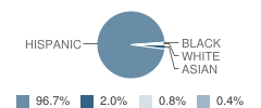 Our Lady of the Rosary School Student Race Distribution