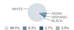 Our Lady Queen of Angels School Student Race Distribution