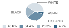 Parkhill School Student Race Distribution