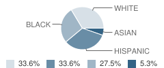 Parkridge Private School Student Race Distribution