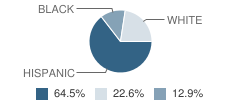 Peninsula Adventist School Student Race Distribution