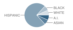 Rancho Los Amigos Children's Center School Student Race Distribution