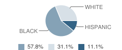 River Oak Center for Children School Student Race Distribution