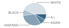 Riverside Christian School Student Race Distribution