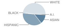 Rosary High School Student Race Distribution