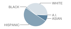 Sacred Heart School Student Race Distribution