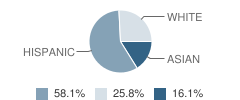Sam & Rose Stein Education Center School Student Race Distribution