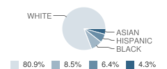 Santa Cruz Children's School Student Race Distribution