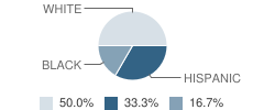 Shepherd of the Valley School Student Race Distribution