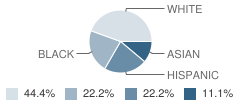 Simmons Schools Student Race Distribution