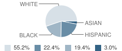 Notre Dame School Student Race Distribution