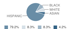 Courage to Change School Student Race Distribution