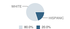 Oasis Community School Student Race Distribution