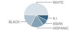 Hope Learning Academy Student Race Distribution