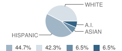 Mokelumne River School Student Race Distribution