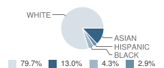 Stratford School Student Race Distribution