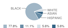 A Bright Beginning Child Development Center School Student Race Distribution