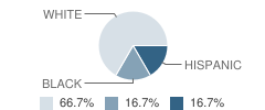 Children of Promise School Student Race Distribution