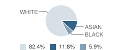 Marbella Montessori School Student Race Distribution