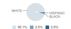 Bethel Christian Academy Student Race Distribution